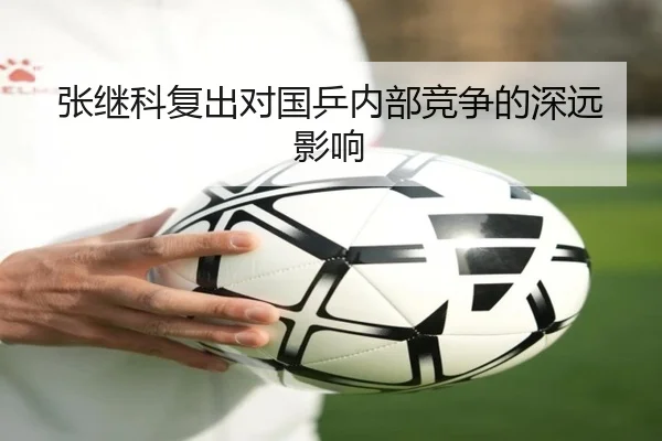 张继科复出对国乒内部竞争的深远影响